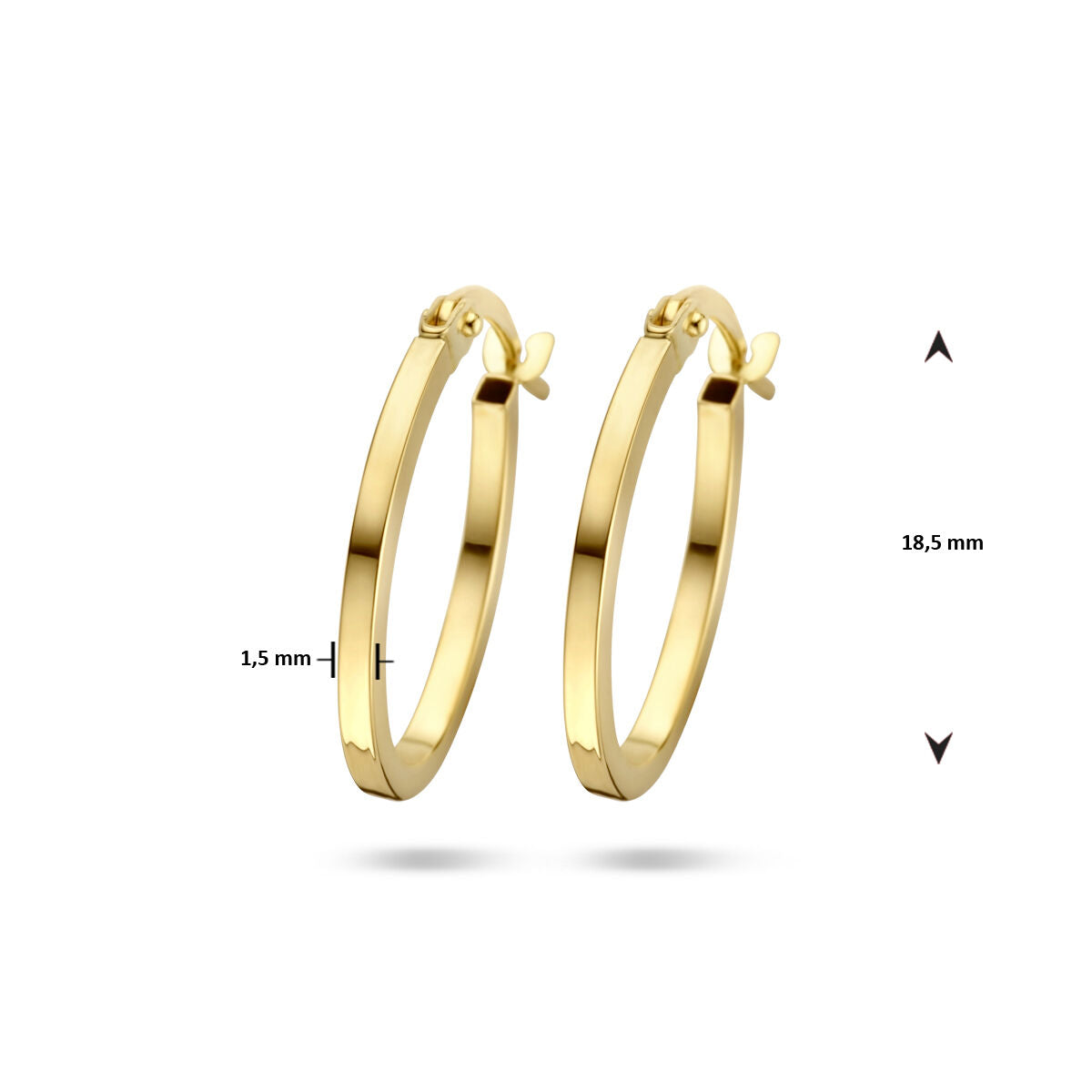 créoles 14K or jaune