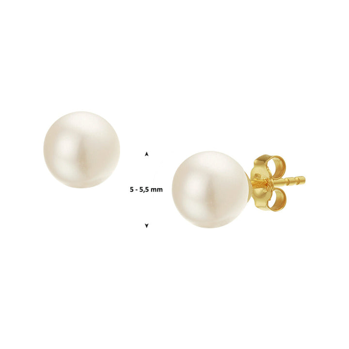 oorknoppen parel 14K geelgoud