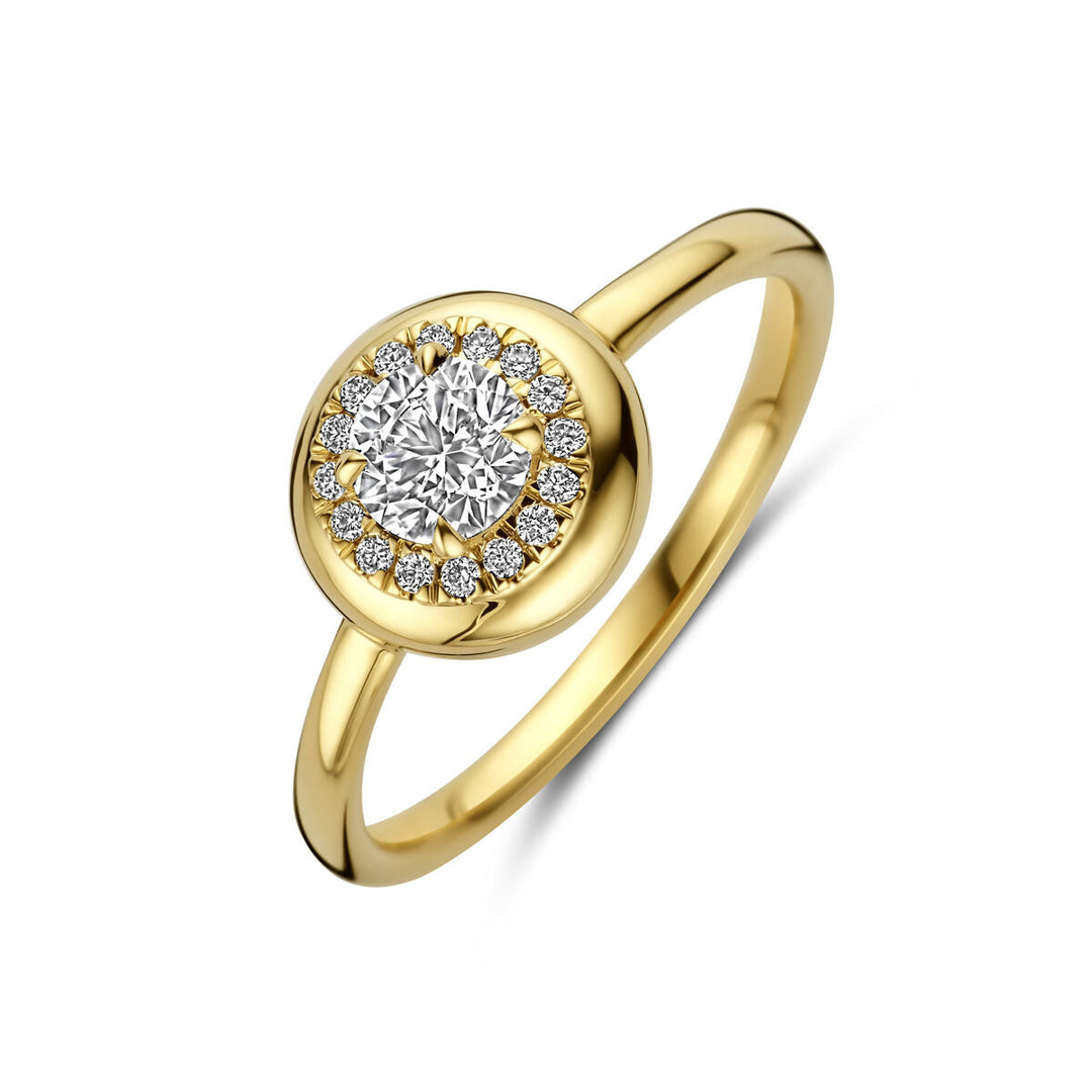 De Van der Kooij Collectie ring heeft een 0,49ct lab grown diamant (H SI) in 14K geelgoud met een ronde halo zetting en kleinere diamanten op een gepolijste gouden band.