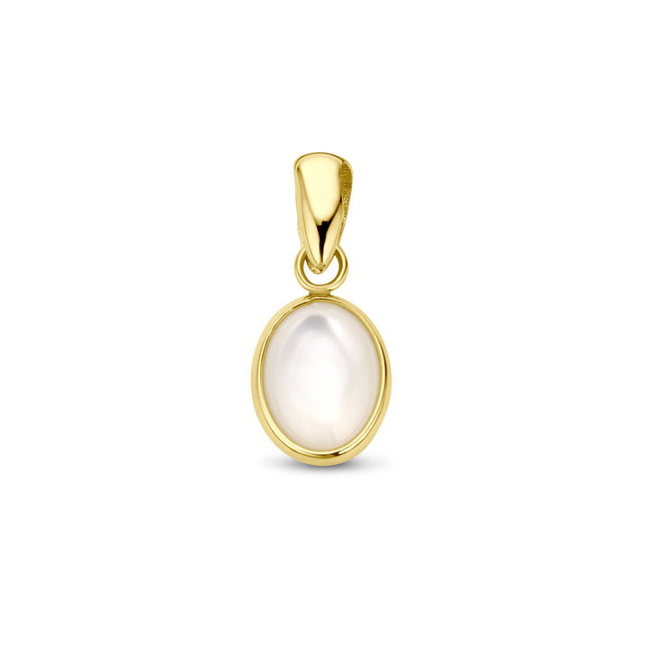 De hanger parelmoer 14K geelgoud van Van der Kooij Collectie heeft een ovaalvormige parelmoer hanger, gezet in glad 14 karaat geelgoud met een gouden oogje, afgebeeld op een witte achtergrond.