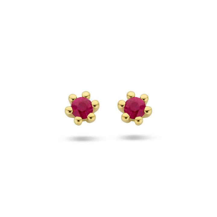 De Van der Kooij Collectie oorknoppen robijn 14K geelgoud zijn voorzien van een briljant geslepen robijn in het midden, omgeven door zes gouden kralen in een bloemenpatroon, gepresenteerd op een witte achtergrond.