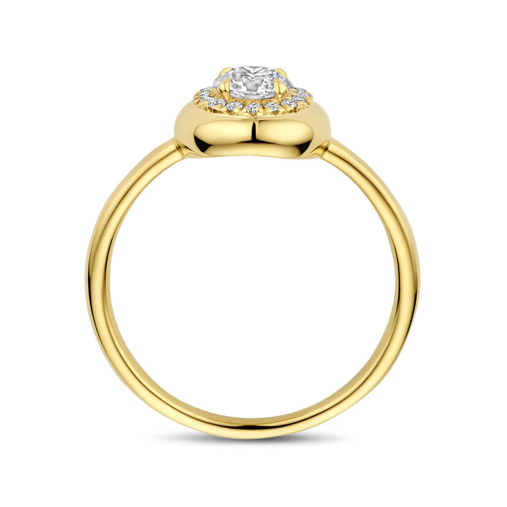 De Van der Kooij Collectie ring lab grown diamant 0,49ct h si 14K geelgoud heeft een ronde band en een centrale lab-grown diamant met een halo, vanaf de zijkant afgebeeld op een witte achtergrond, die verfijnd vakmanschap weerspiegelt.