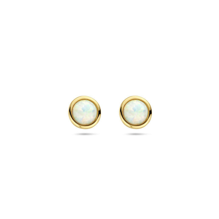 oorknoppen opaal 14K geelgoud