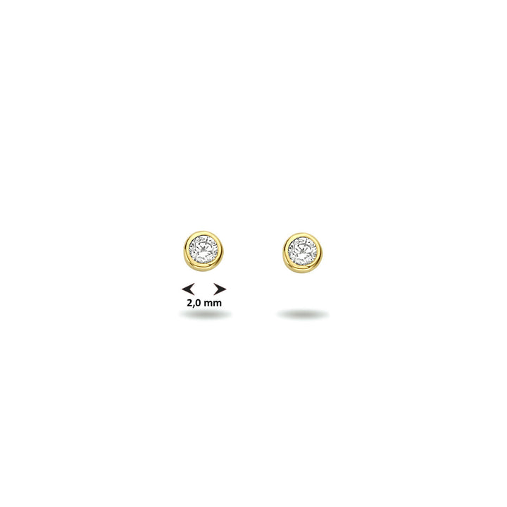 oorknoppen zirkonia 14K geelgoud