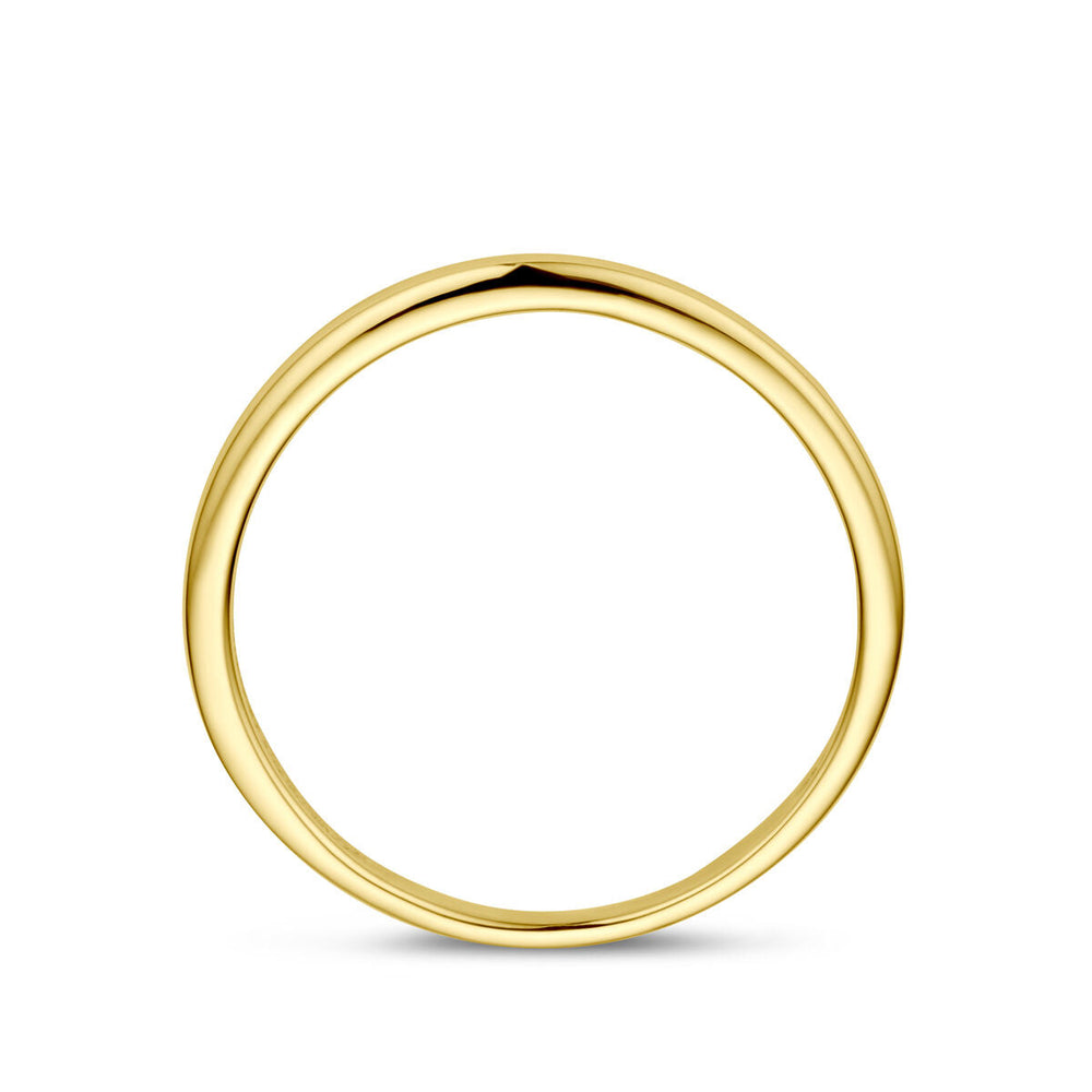 De Van der Kooij Collectie ring 14K geelgoud heeft een eenvoudig, gepolijst ontwerp met een glad, afgerond oppervlak - ideaal voor liefhebbers van minimalistische sieraden - tegen een effen witte achtergrond.