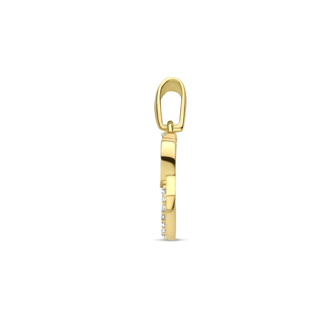 hanger hartjes zirkonia 14K geelgoud