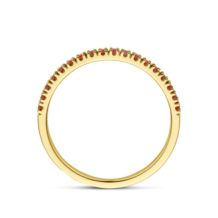 De Van der Kooij Collectie ring met geboortesteen granaat januari is een delicate 14K geelgouden damesring, met kleine rode granaten langs de bovenzijde, getoond van opzij tegen een witte achtergrond.