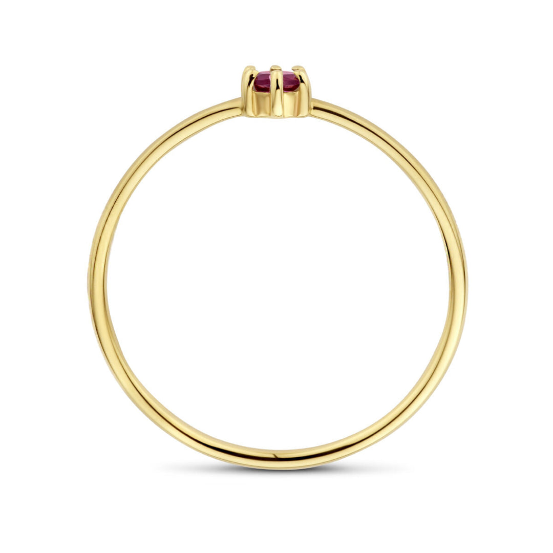 ring met geboortesteen granaat  januari 14K geelgoud