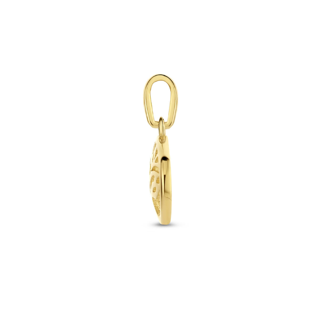 Zijaanzicht van de Van der Kooij Collectie hanger levensboom 14K geelgoud, een kleine, ronde gouden hanger met een ovale lus aan de bovenkant, tegen een witte achtergrond - perfect als dames sieraad.