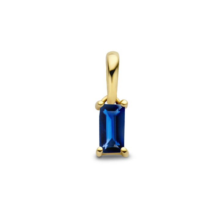 hanger met geboortesteen 14K geelgoud