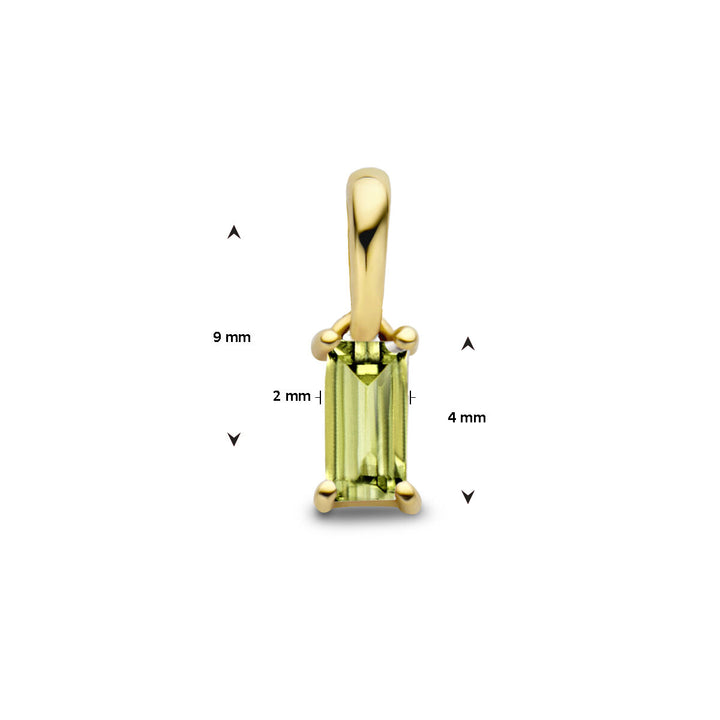 De Van der Kooij Collectie hanger met geboortesteen 14K geelgoud heeft een rechthoekige peridoot (9x4x2 mm) in verticale zetting.