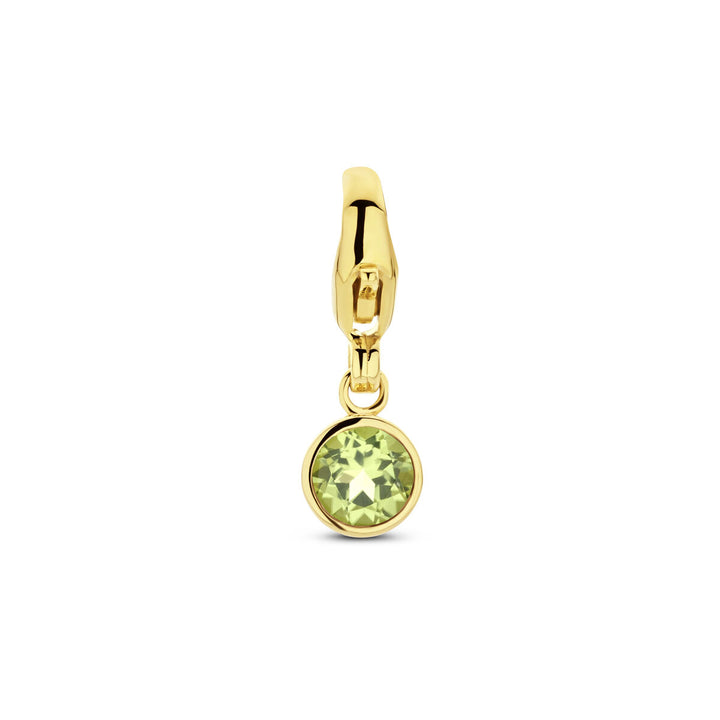 slotbedel met geboortesteen 14K geelgoud