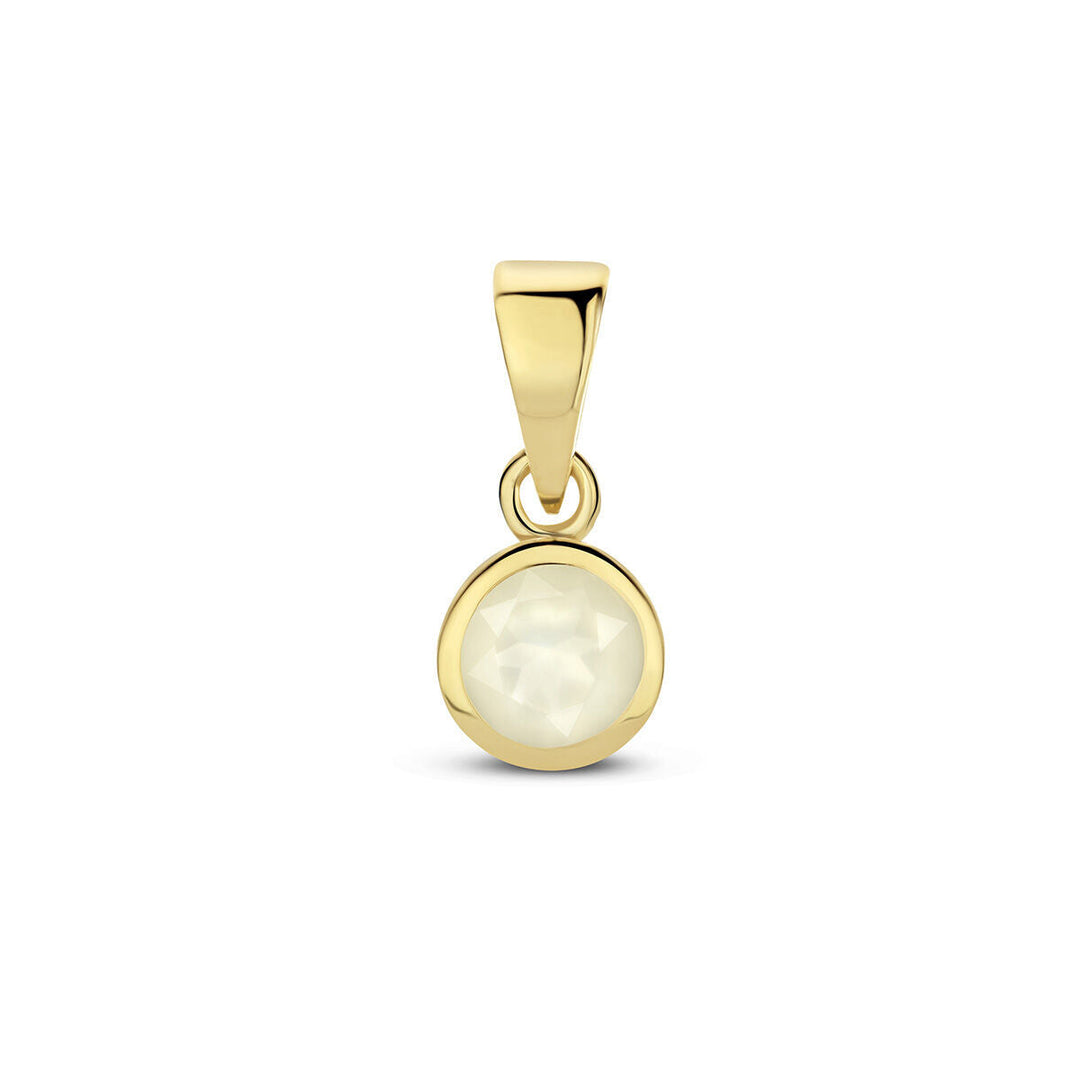 hanger met geboortesteen 14K geelgoud