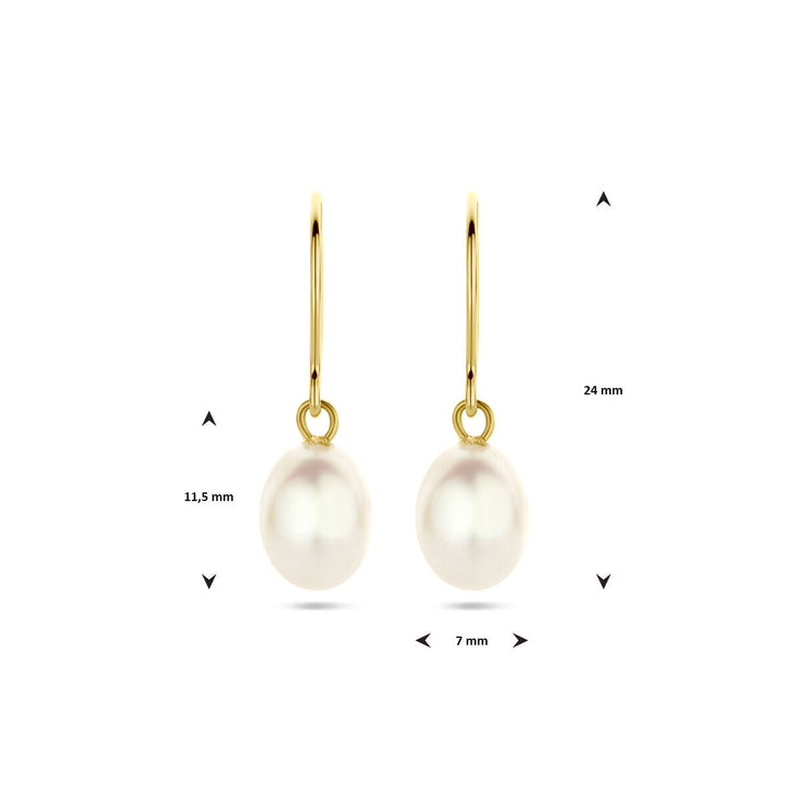 Van der Kooij Collectie oorhangers franse haak parel 24 mm van 14K geelgoud met ronde witte parel (11,5 x 7 mm), getoond op een witte achtergrond.