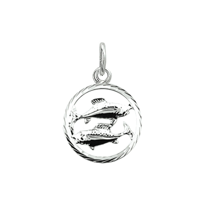 De Van der Kooij Collectie hanger sterrenbeeld gediamanteerd zilver wit is een stijlvolle unisex hanger met een sprankelende zilveren afwerking, perfect voor het toevoegen van een elegante touch aan elke ketting.