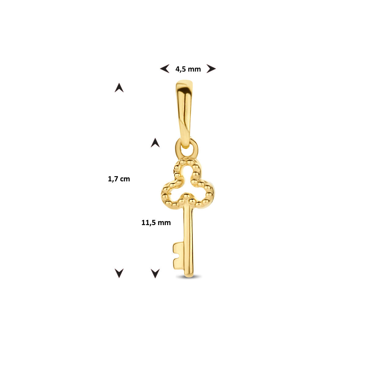 pendentif clé 14K or jaune