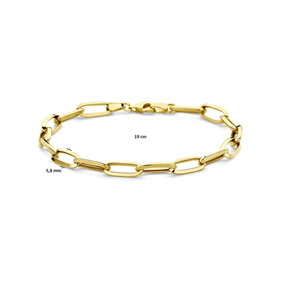 De Van der Kooij Collectie armband closed forever heeft 5,8 mm langwerpige ovale schakels in 14K geelgoud, is 19 cm lang en is afgebeeld op een witte achtergrond.