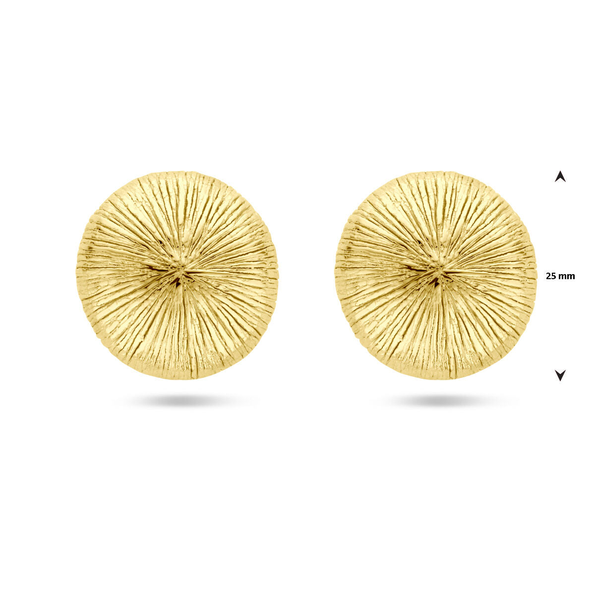 puces d'oreilles 25 mm 1 micron argent plaqué or (jaune)