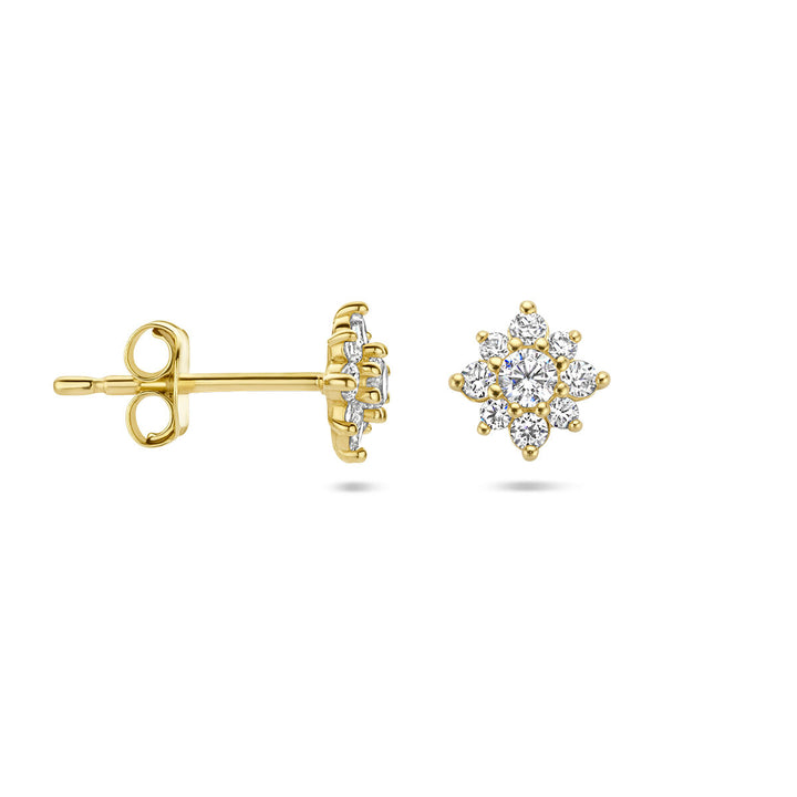 oorknoppen zirkonia rozet 14K geelgoud
