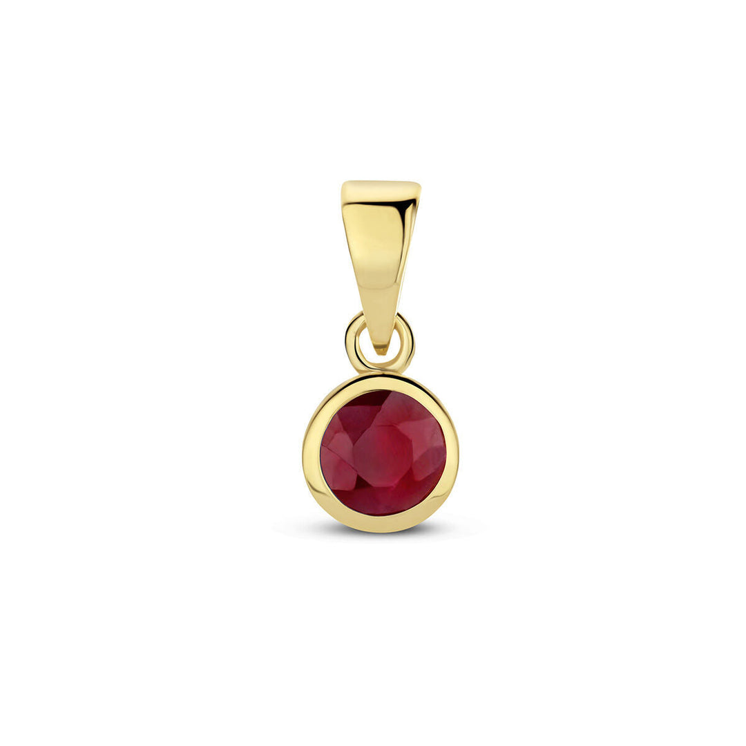 hanger met geboortesteen 14K geelgoud