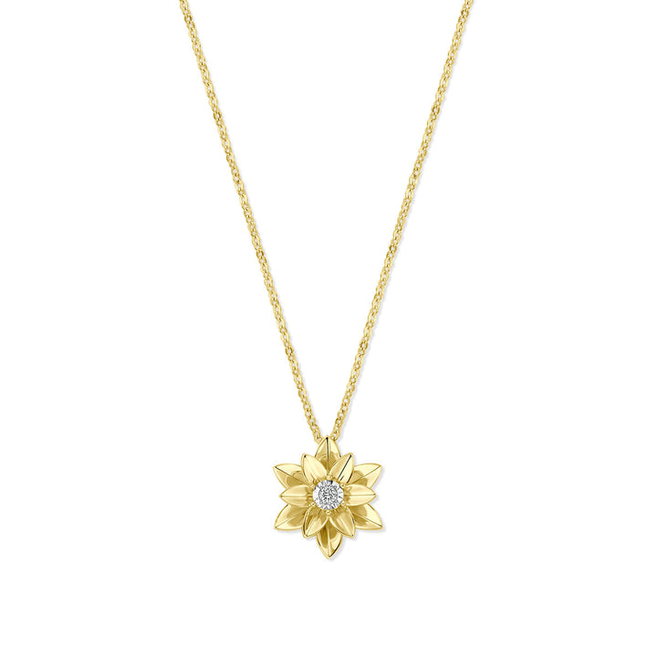 collier diamant 0.03ct h si 41 - 43 - 45 cm 14K bicolor goud geel/wit