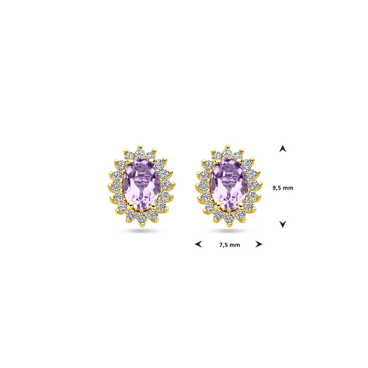 oorknoppen amethist en zirkonia 9,5 mm 14K geelgoud