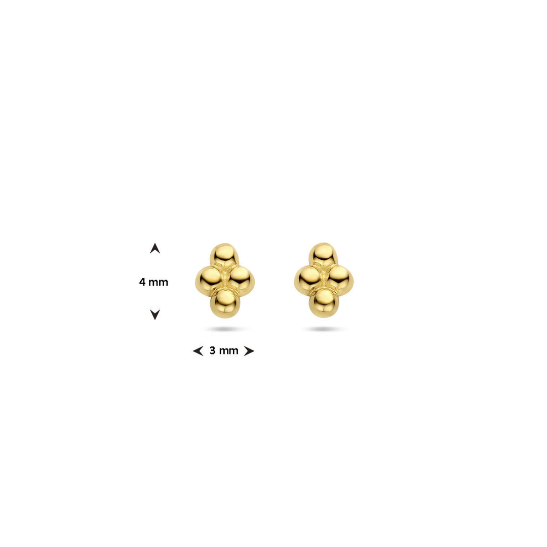 De oorknoppen bolletjes 14K geelgoud van Van der Kooij Collectie hebben een cluster van vier ronde gouden kralen van ca. 4 mm hoog en 3 mm breed tegen een effen witte achtergrond.