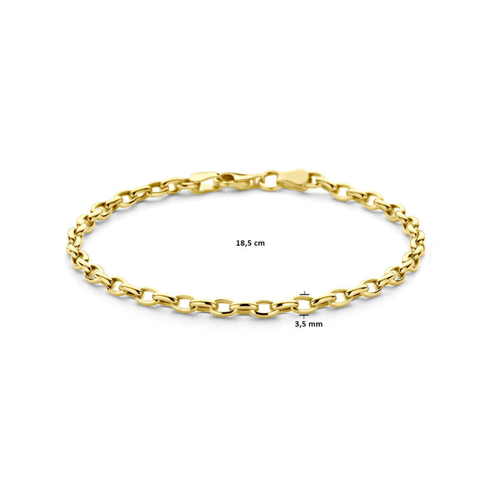 De Gouden armband dames anker 14K uit de Van der Kooij Collectie heeft ovale schakels, een stevige karabijnsluiting, is 18,5 cm lang en 3,5 mm breed. Deze elegante armband straalt op een witte achtergrond.