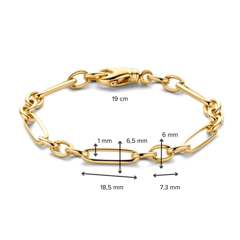 Geelgouden Schakelarmband met Wisselende Schakels en Luxe Karabijnsluiting – 14 Karaat Goud, Elegante Armband voor Dames
