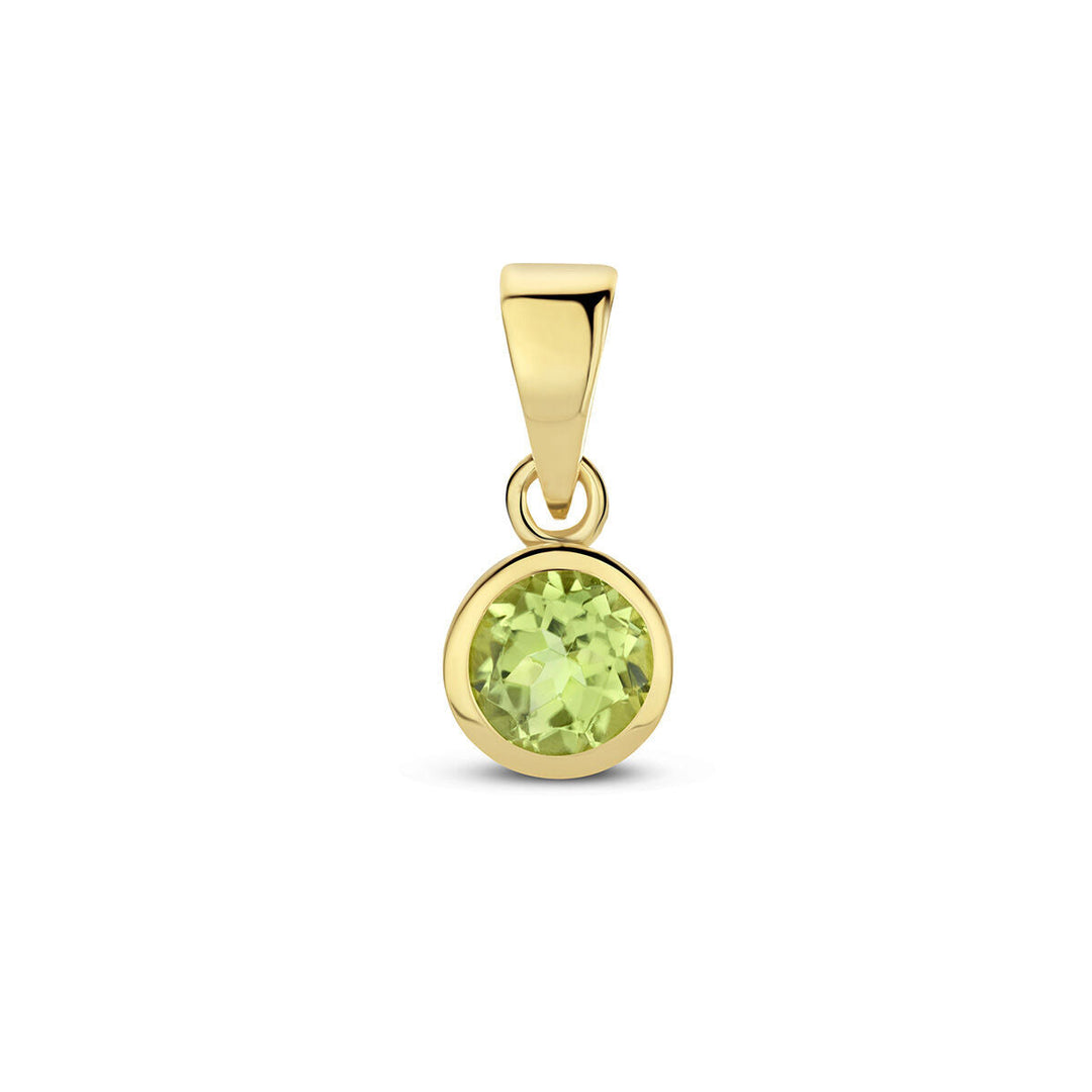 hanger met geboortesteen 14K geelgoud