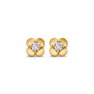 Puces d’oreilles diamant