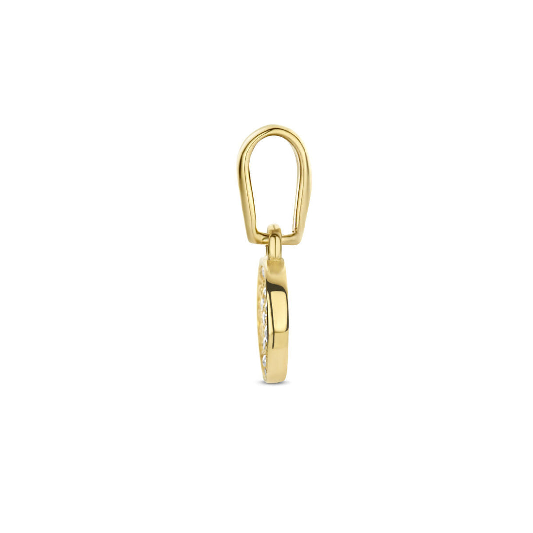 hanger rondje zirkonia