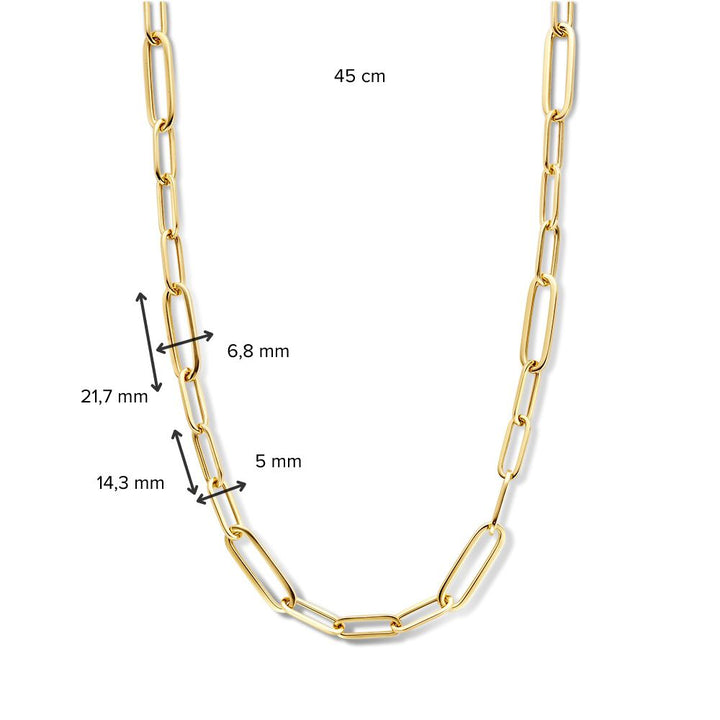 14K Geelgouden Collier met Luxe Karabijnsluiting – Elegant Sieraad voor Dames