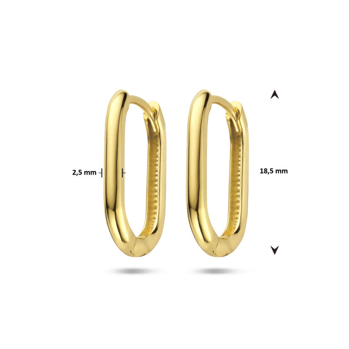 klapoorringen paperclip 14K geelgoud