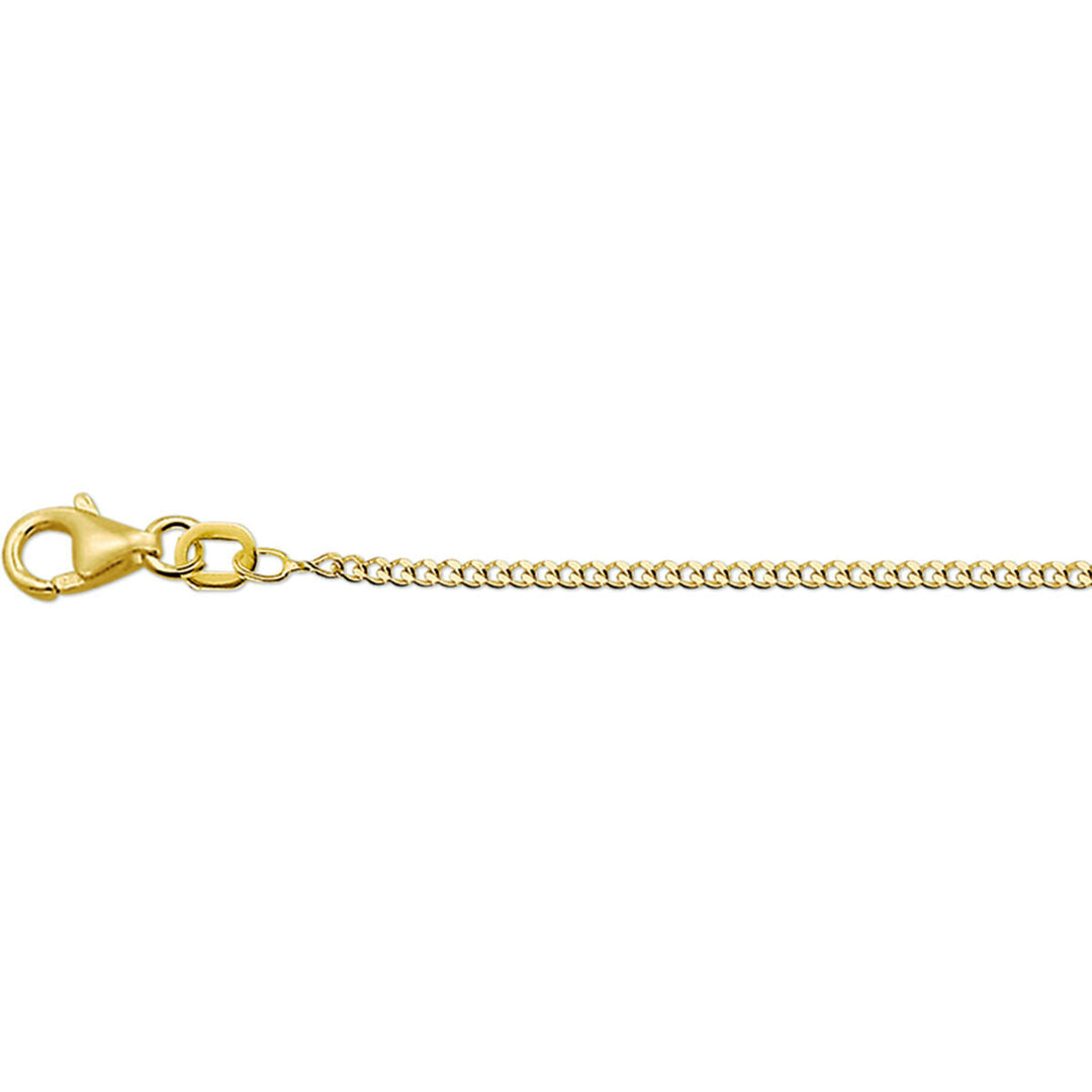 Een close-up van de Van der Kooij Collectie gourmette 4-zijdes geslepen 1,4 mm 14K geelgouden ketting met karabijnsluiting, weergegeven op een effen witte achtergrond.