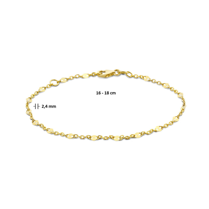 De Van der Kooij Collectie armband anker met tussenstuk is van 14K geelgoud, heeft een verstelbare lengte van 16-18 cm, een breedte van 2,4 mm en is voorzien van een stevige lobster sluiting.