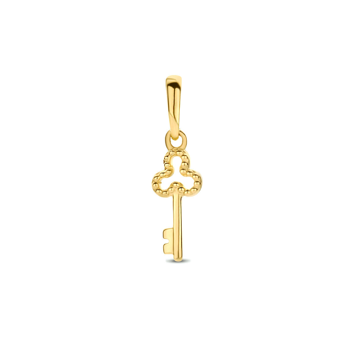 Hanger in de vorm van een sleutel van 14K geelgoud met een gedetailleerd ontwerp.