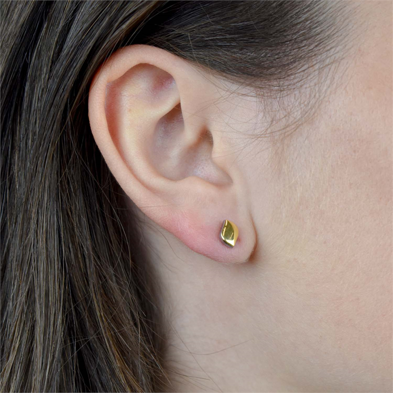 Boucles d'oreilles en titane gp 05008-03