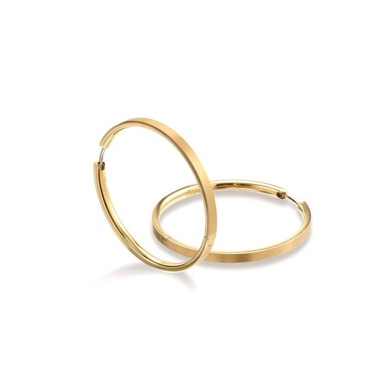 Boucles d'oreilles en titane doré, de forme ronde et lisse, avec un fermoir discret.