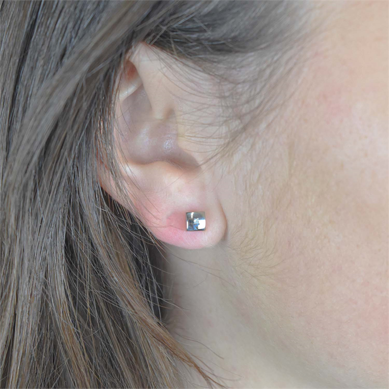 Boucles d'oreilles en titane dia 2/0.01 - 05050-02