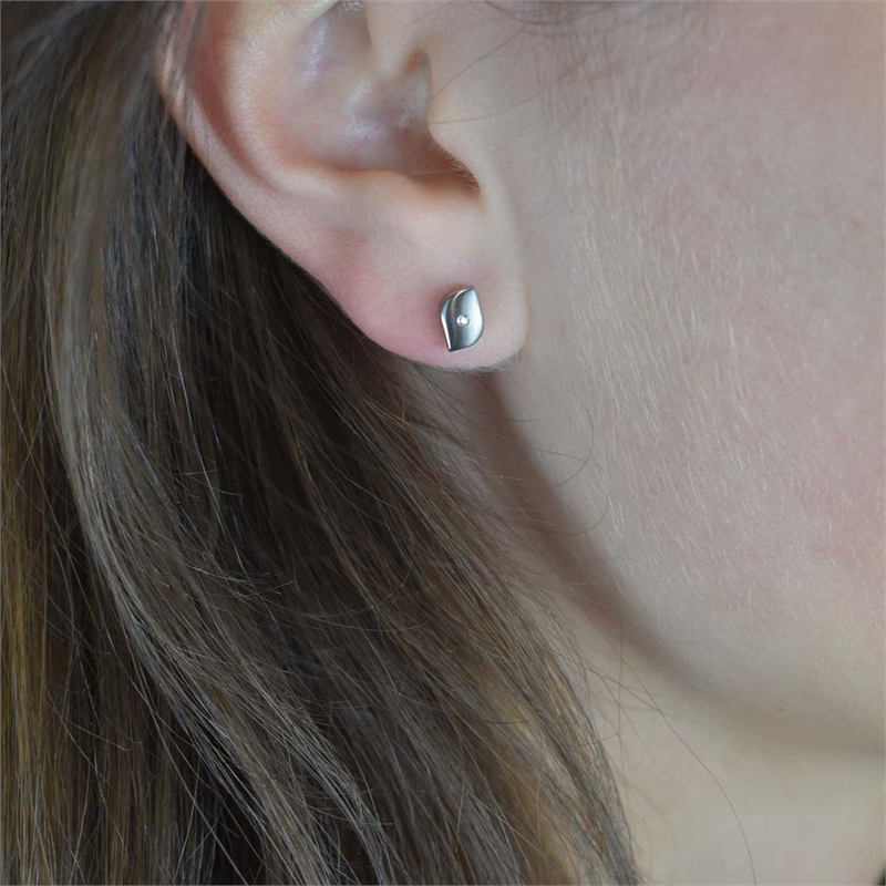 Boucles d'oreilles en titane dia 2/0.01 - 05008-02
