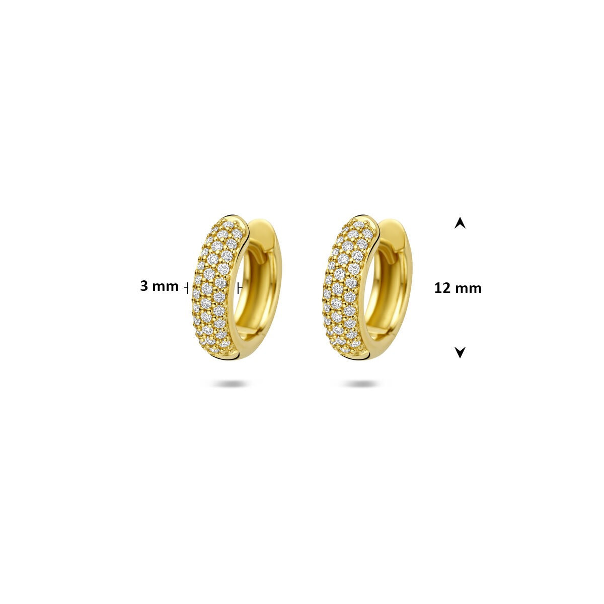 Créoles en or jaune 14k avec diamant