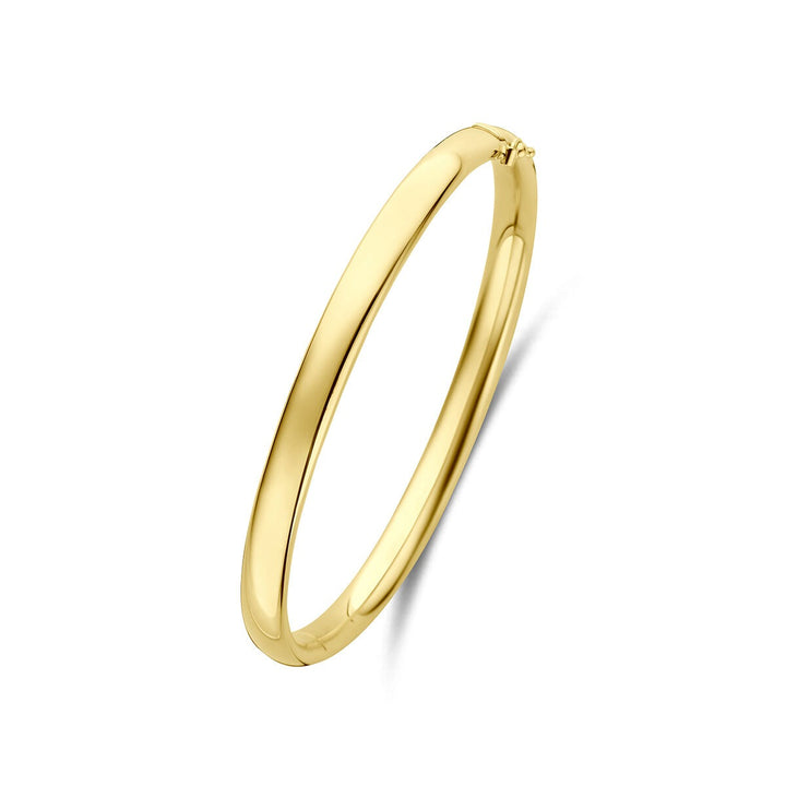 14k Geelgoud Silgold Bangle Armband