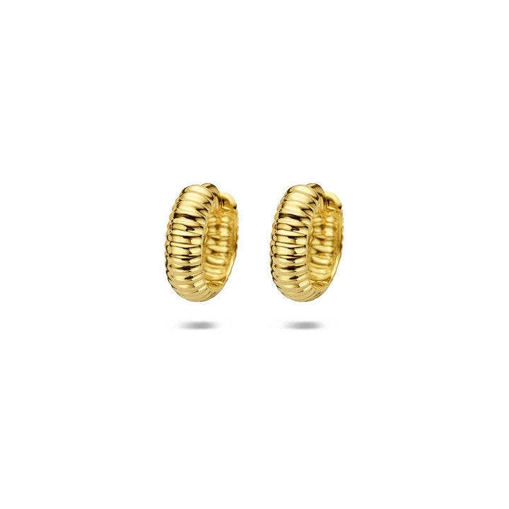 9k Geelgouden klapoorringen