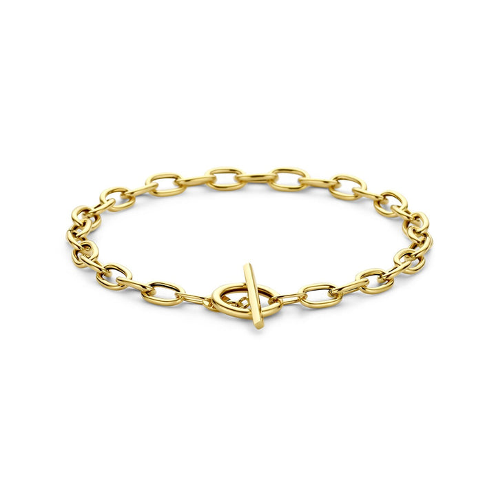 14k Geelgouden ankerarmband met kapittelslot