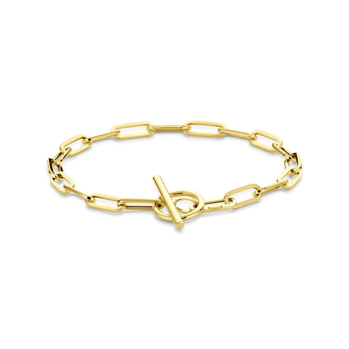 14k Geelgouden dames armband met kapittelslot – anker schakel