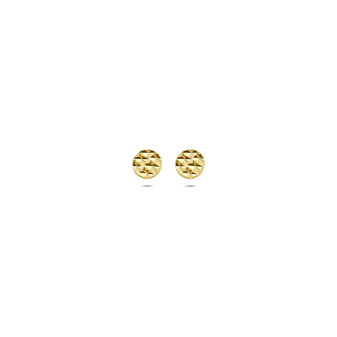 9k Geelgouden oorknopjes