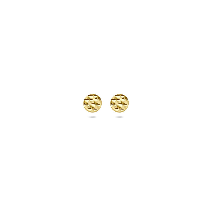 9k Geelgouden oorknopjes