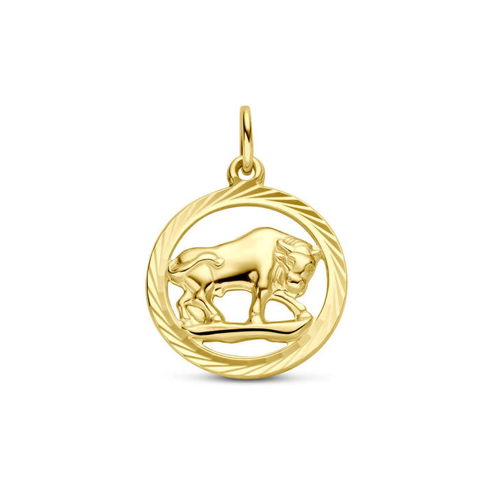 9k Geelgouden sterrenbeeld hanger