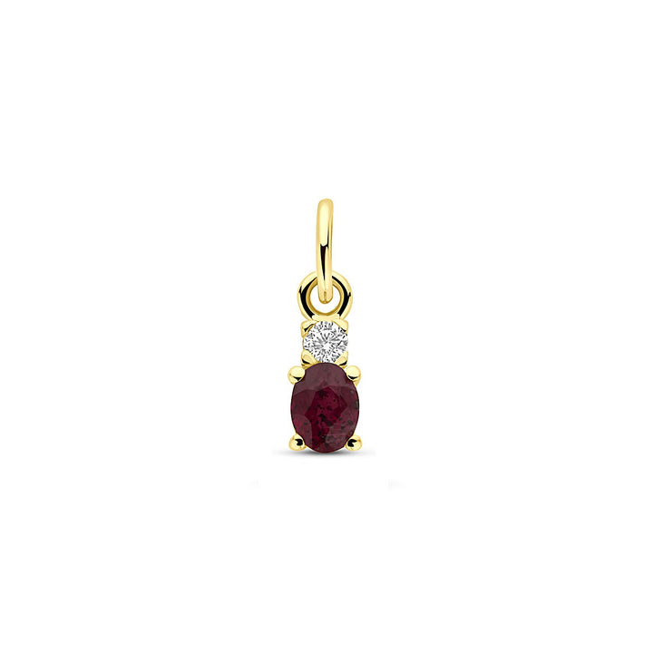 14k Geelgouden hanger met robijn en zirkonia – 12 mm